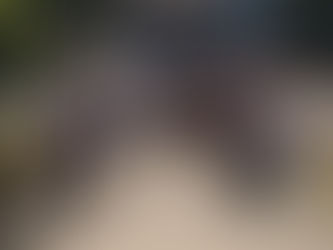 Závěrečná zpráva z BIM Akademie 2025