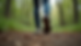 Eye-level view of a person walking on a forest trail wearing gorpcore sneakers