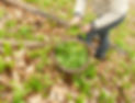 Image 1 CARE.jpg