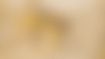 Κλιματική Αλλαγή και Κατάρρευση Πολιτισμών. Από τα Ιστορικά Παραδείγματα στη Σύγχρονη Εποχή.  