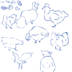 Birds, Bees 081722