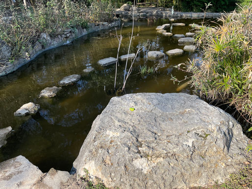 Rock 3458 - Found by Joshua in the Japanese Garden in Zilker Park in Austin