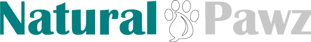 June-Logo.png