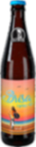 brisa cream ale garrafa old boys
