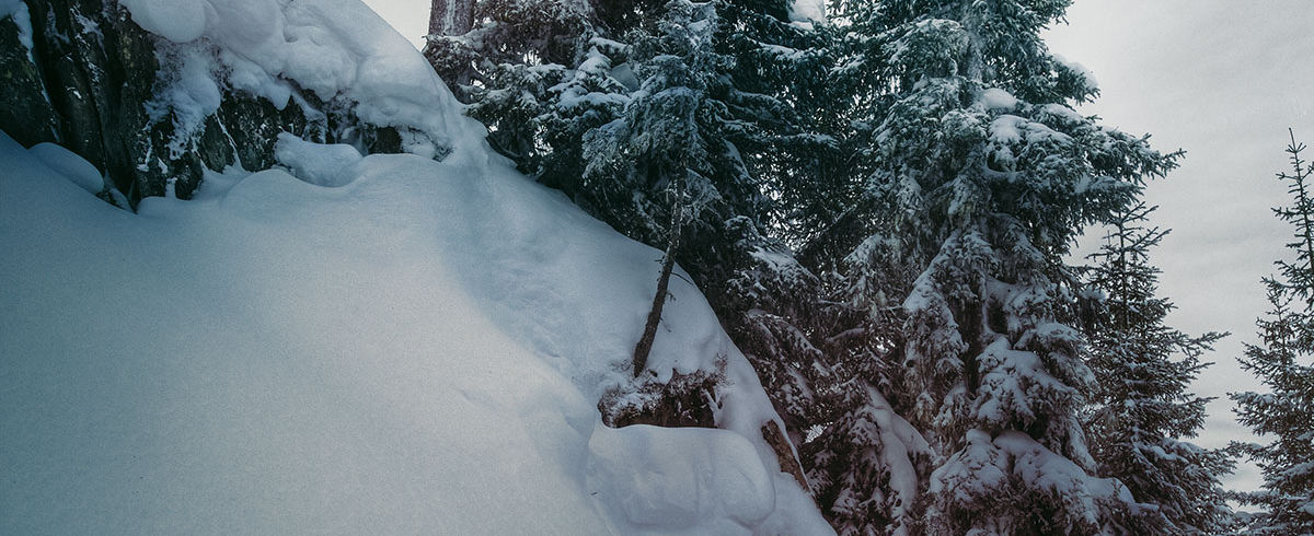 Saalbach Freeride Bergführer Saalbach, Offpiste Guide