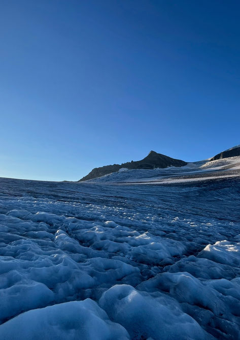 Gross Venediger mit Bergführer