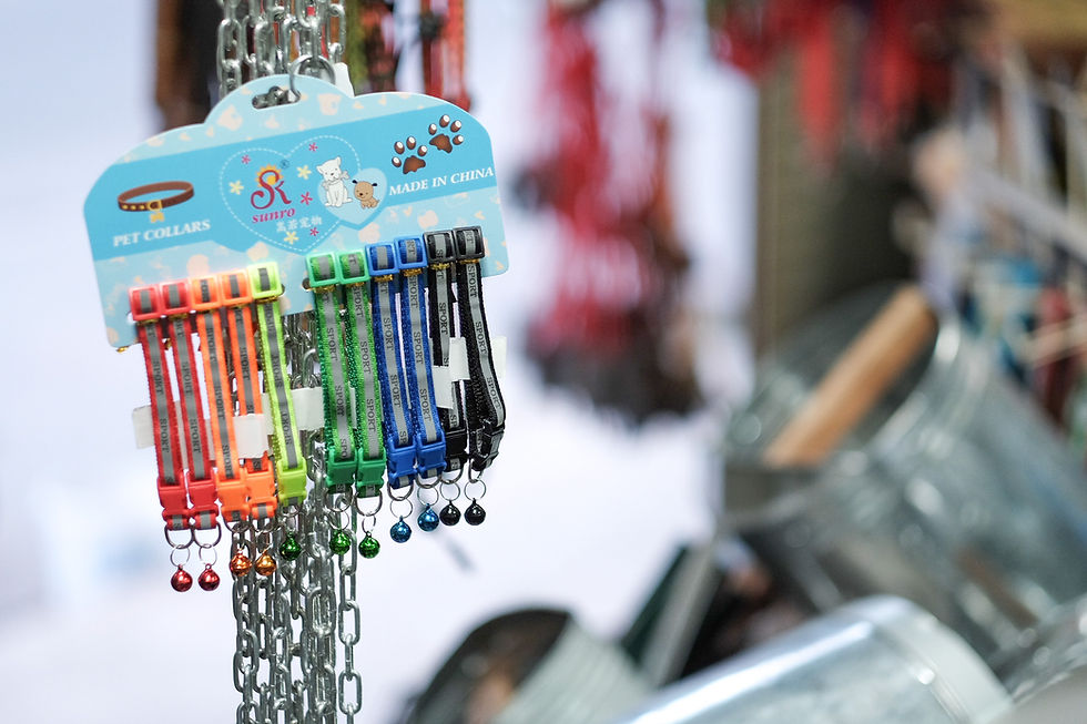 ปศุสัตว์และสัตว์เลี้ยง