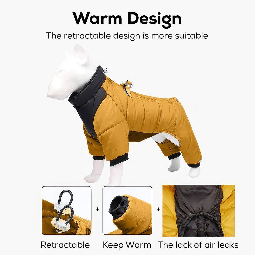 Thumbnail: M Size Windproof & Waterproof Full Body Warm Dog Coat (Yellow)