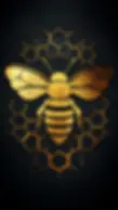 7.webp