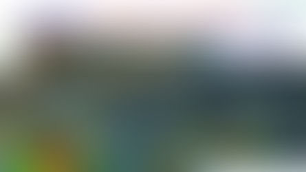 賺錢與冒險-蝴蝶颱風