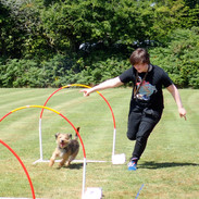 Hoopers dog training, Cornwall