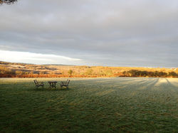 dog exercise fields, cornwall