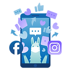 b2b google ads case study hero-facebook-instagram.png