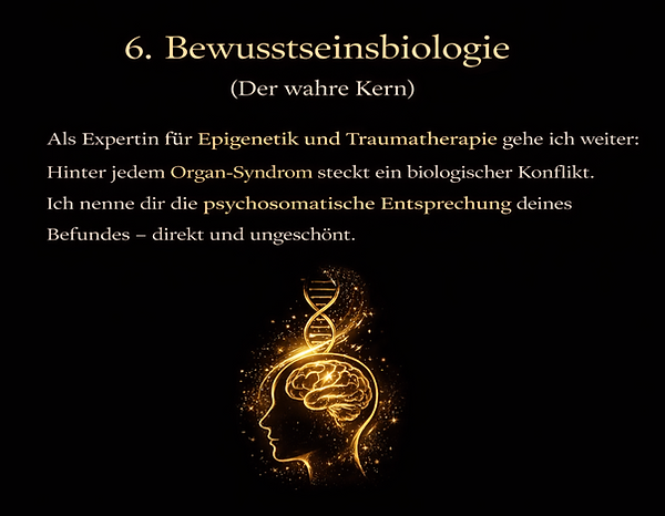 Bildschirmfoto 2026-03-06 um 12.35.57.png