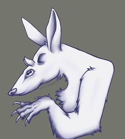 soft friend