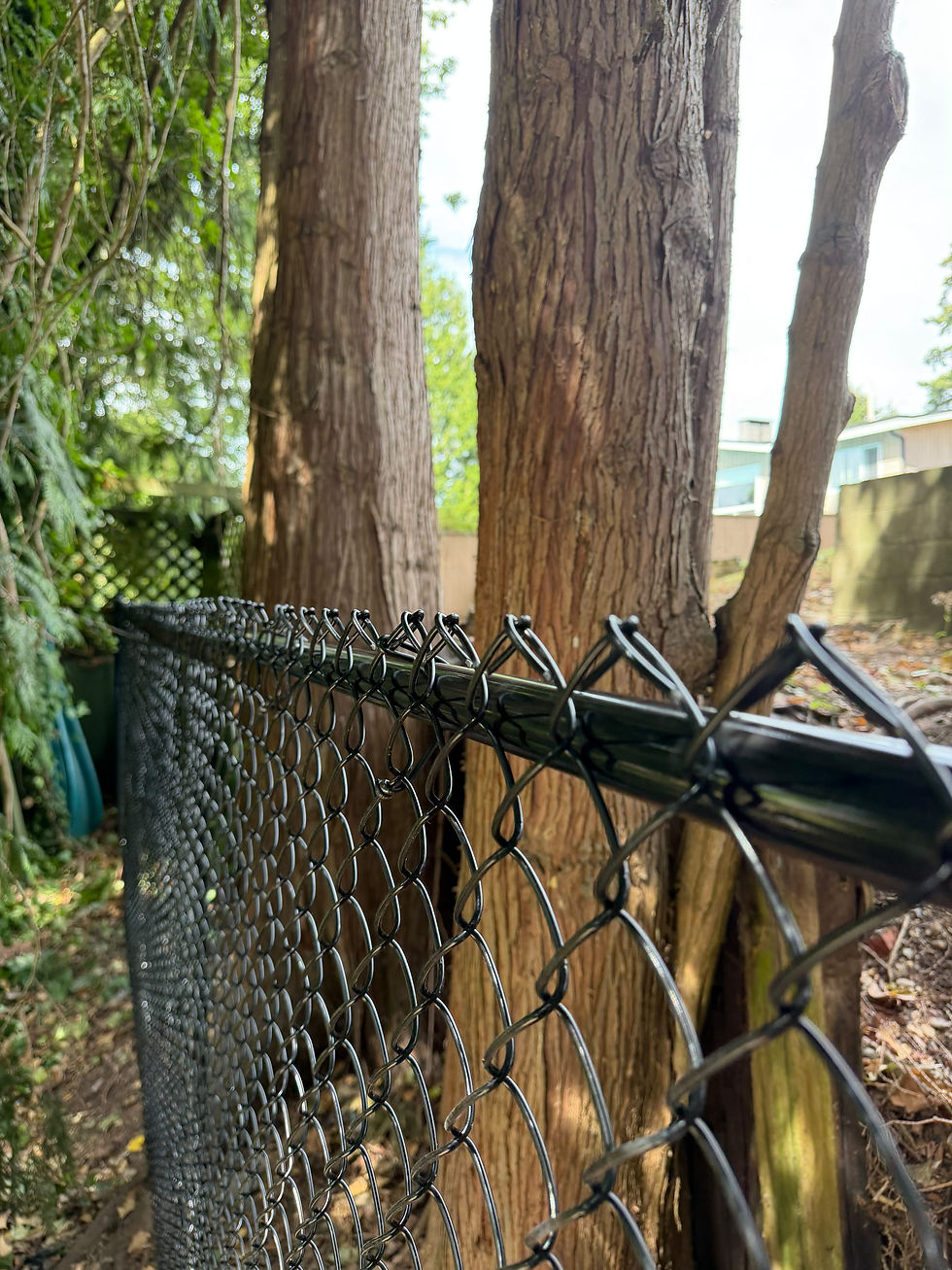 Residential Black Chain Link Fence Installation in Surrey, BC