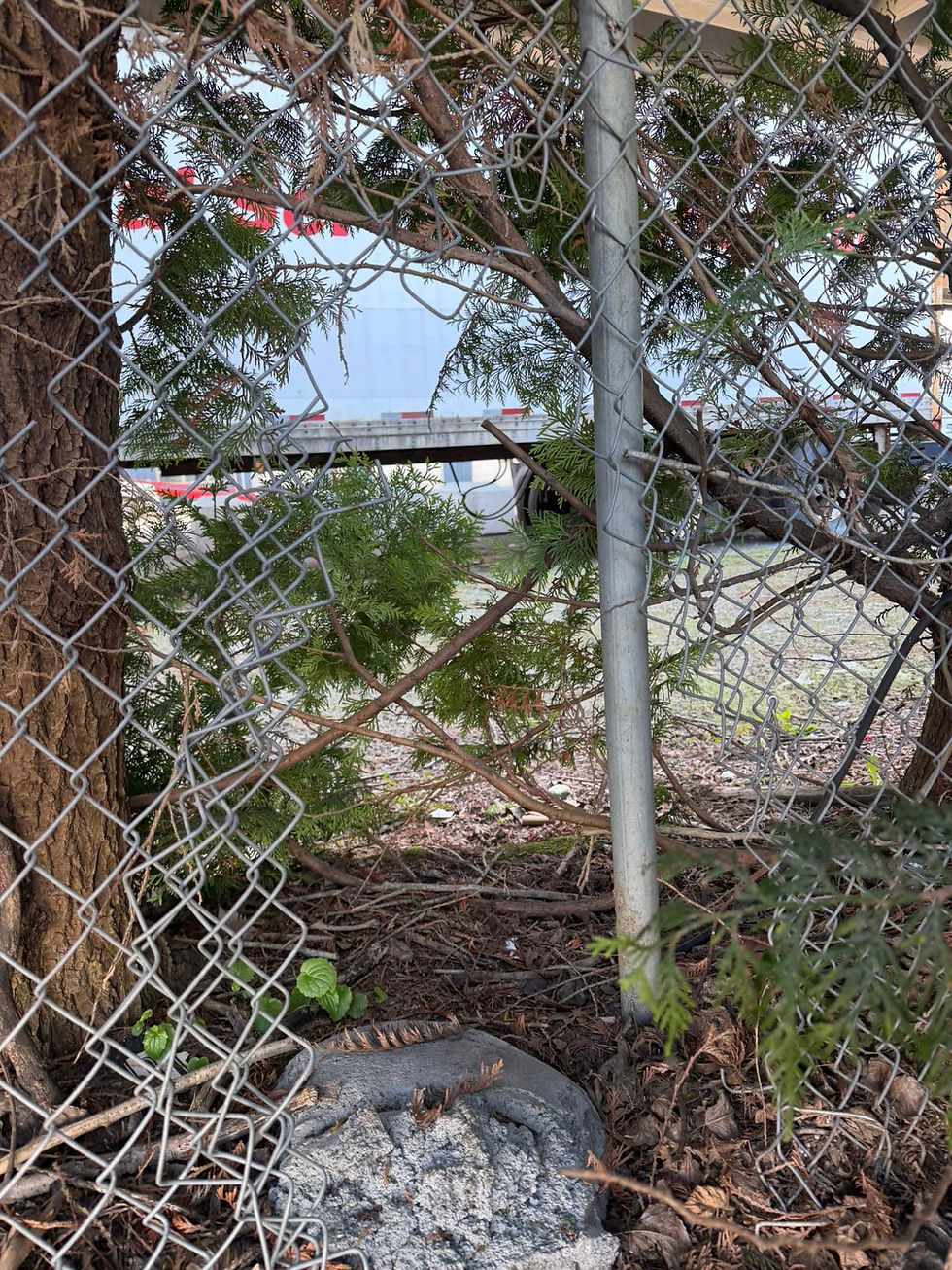 Damage commercial chain link fence