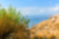 istockphoto-1288468195-612x612.jpg