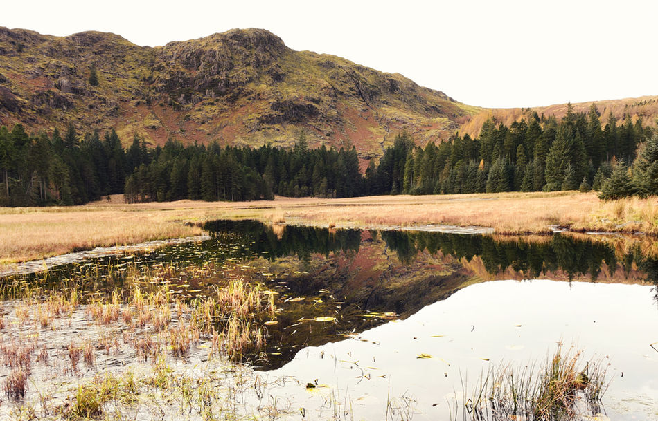 Lake District - The First Encounter