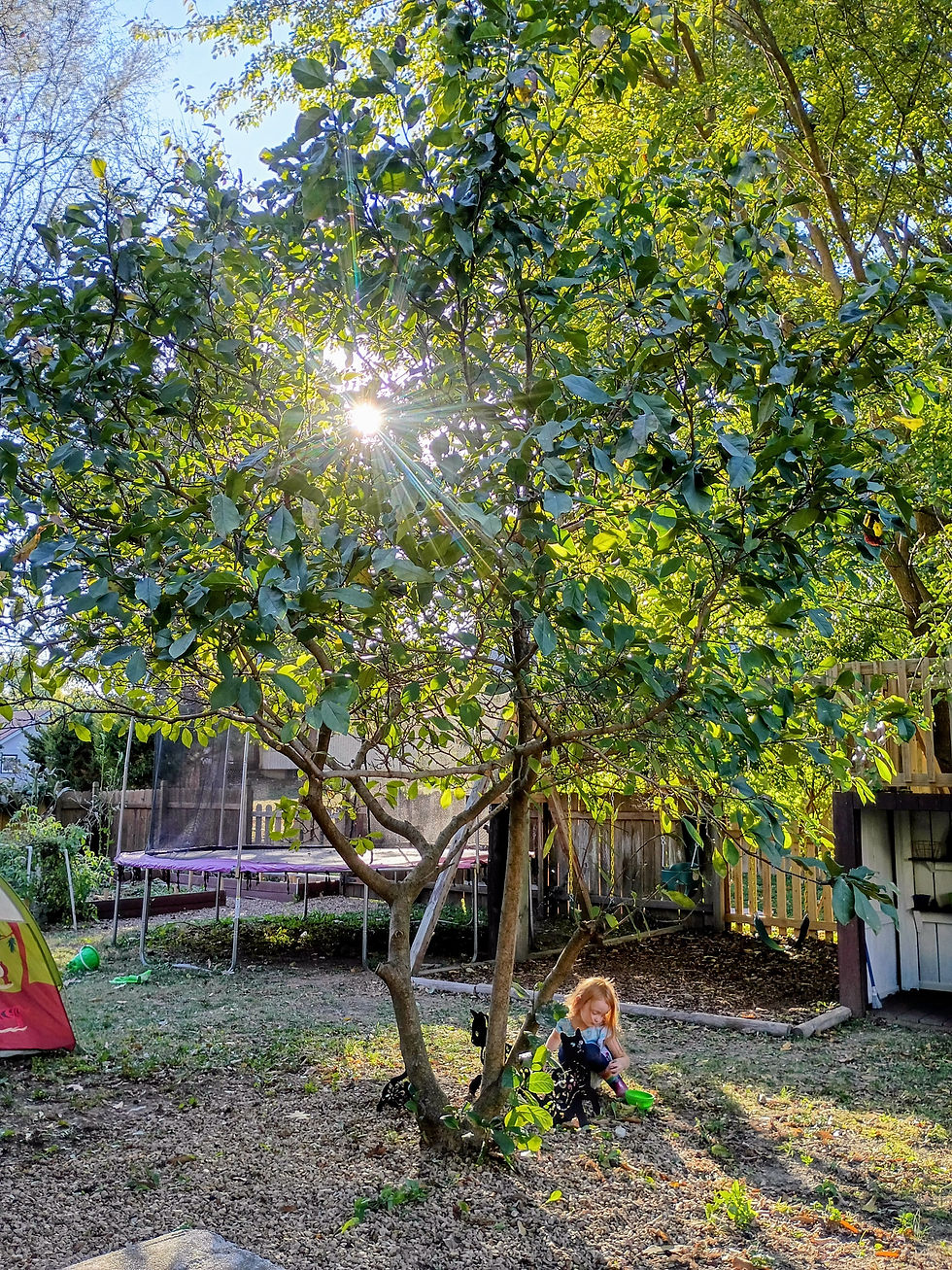 Outdoor shaded play space