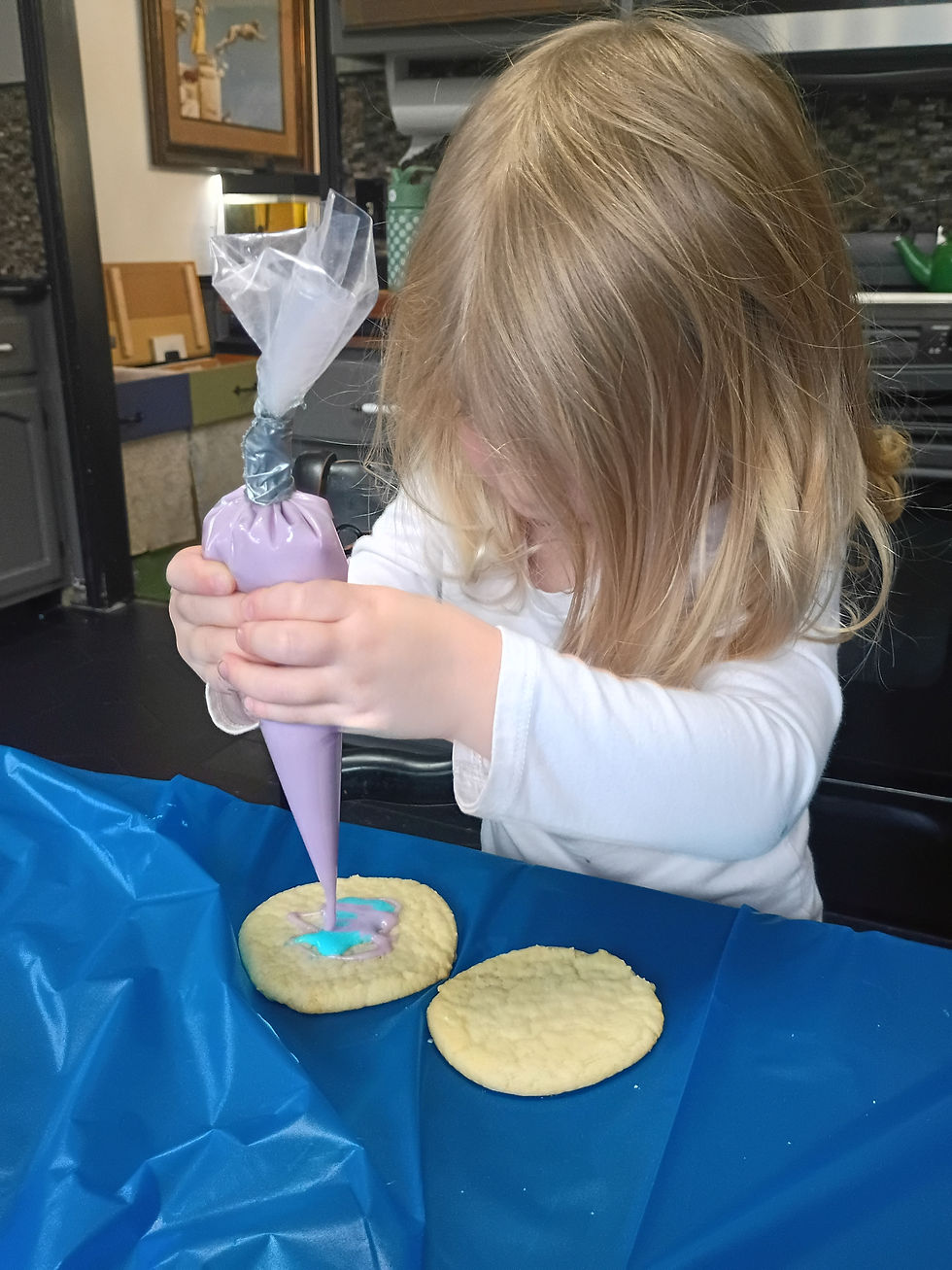 Cookie Decorating