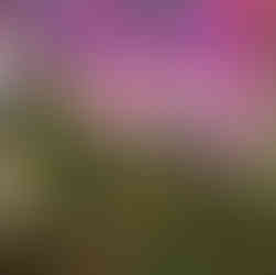 Cheyenne Botanic Gardens