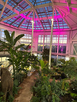 Botanic Gardens1.jpeg
