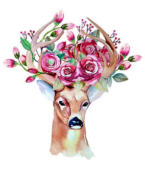 rozen