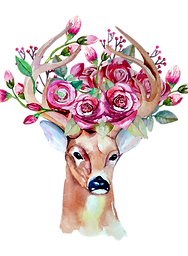Des roses