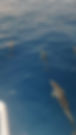 3579_1660841888637.jpg