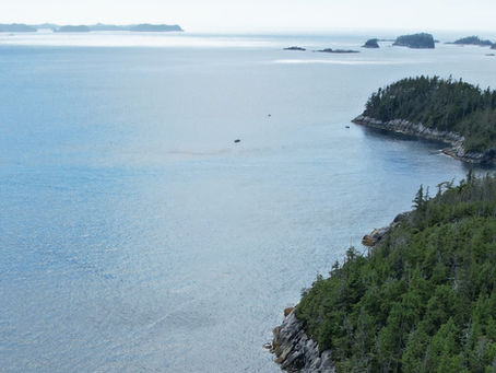 The Ultimate Guide to Salmon Fishing in Hakai Pass, British Columbia