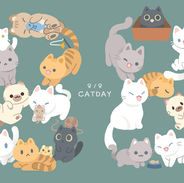 88_cat2copy.jpg