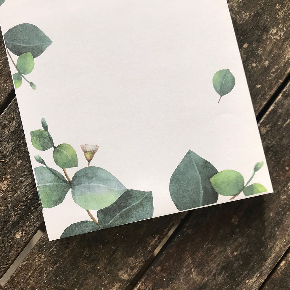 Miniaturbild: XXL Eukalyptus-Briefset