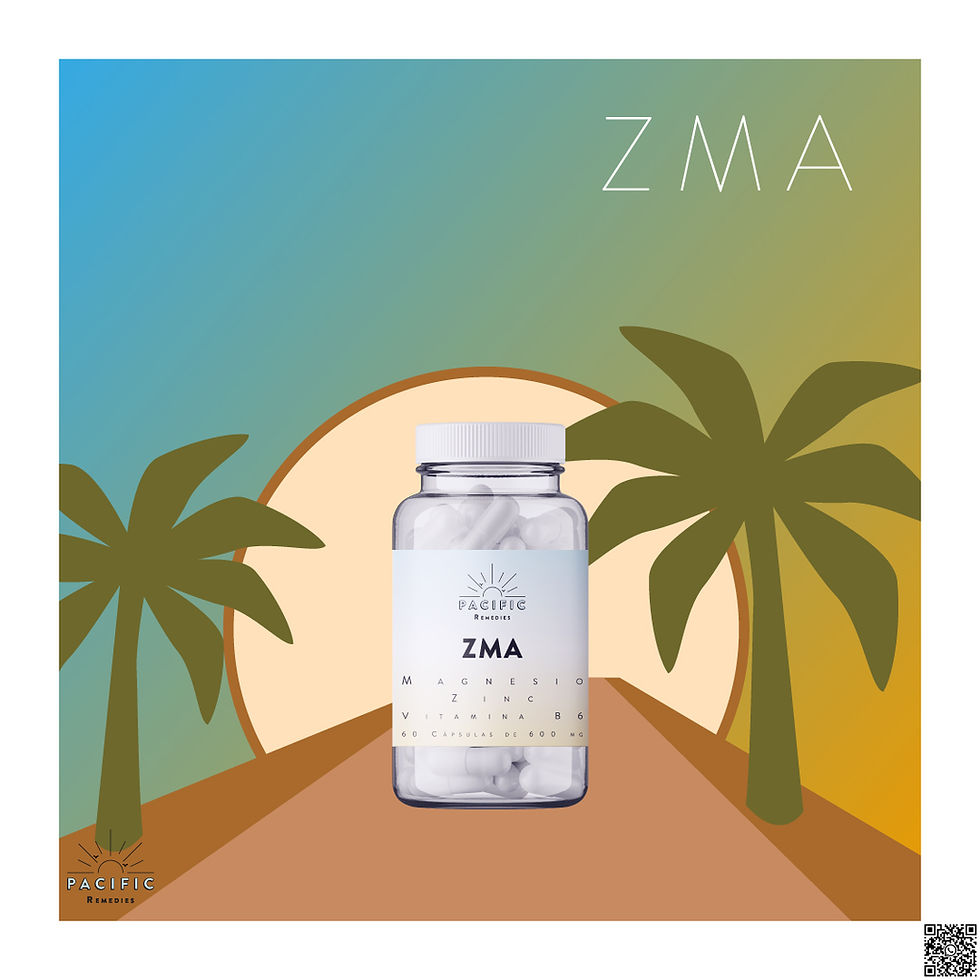 Miniatura: ZMA
Zinc, Magnesio y Vitamina B6