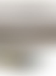 Stacked Stone Accent Walls