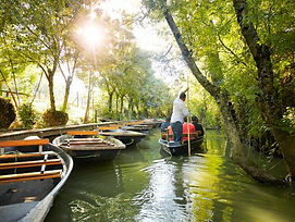 Marais Poitevin, près de Bernay et de La Rouarderie