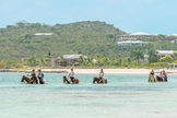 Horseback riding at Thompson Cove Beach