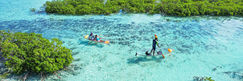 Clear Kayaking