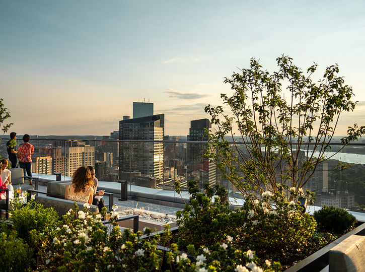 Terrace