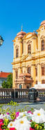 timisoara.jpg