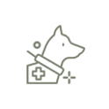 Virtual veterinary consultation with pet owner