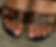 IMG_2536.jpeg