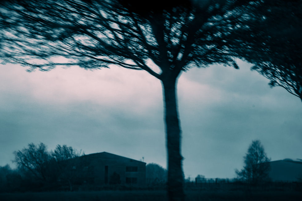 F08D80F4-5301-4862-9E76-324380921C4B