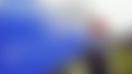 Panel Discussion: The Details Are Invented