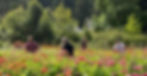 friends-picking-flowers-at-upick-farm.jpg