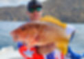 20221208_133104.jpg