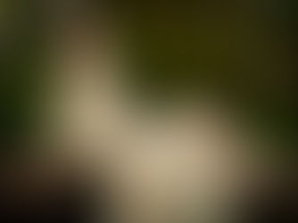 Dive into Bliss with Monique Angele's New Single "Dreaming"