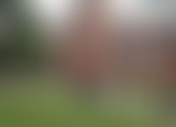 Moving from Houston to College? Learn About Where You're Headed.