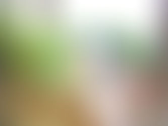 加湿器を設置しました!