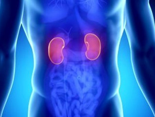 The Top 9 Best Herbs For Kidney Cleansing - Lifeline Acupuncture & Herbs Clinic